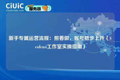 新手专属运营流程：照着做，账号稳步上升（Seofensi工作室实操指南）