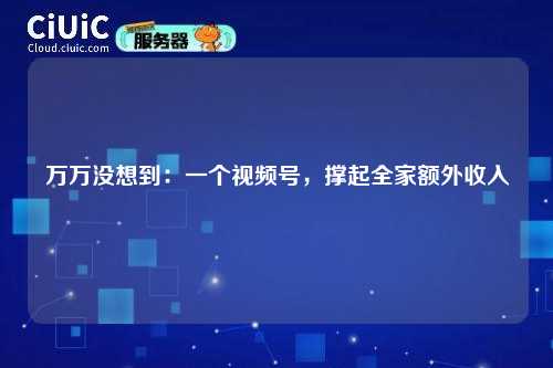 万万没想到：一个视频号，撑起全家额外收入